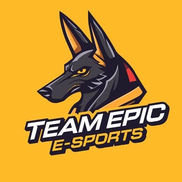 EPIC TEAM