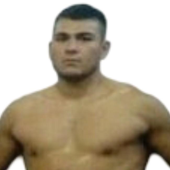 JOÃO MESQUITA*