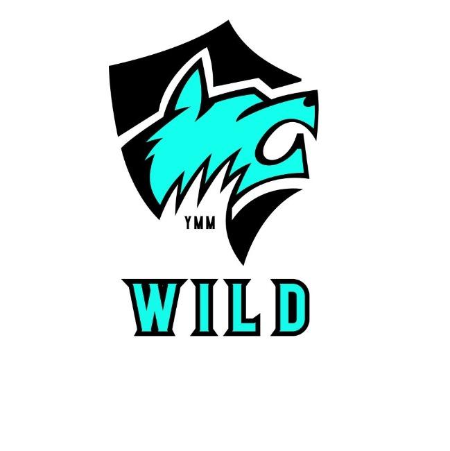 Fort McMurray Wild