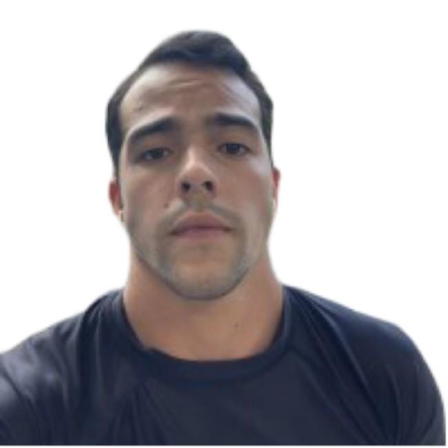 PAULO ARAUJO*