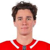 Михаил Мальцев