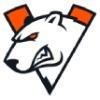 Virtus.pro