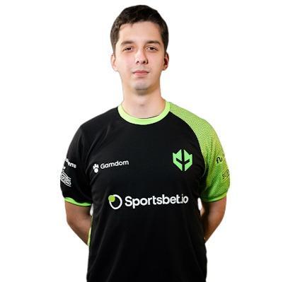 VINI