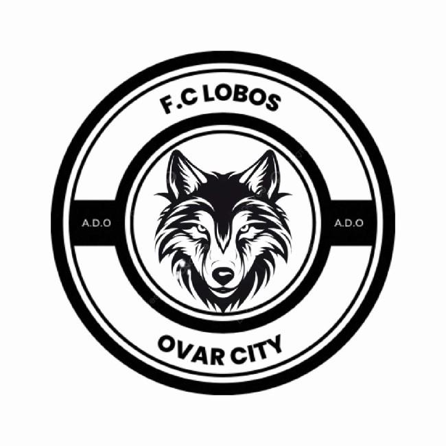 Ovar city