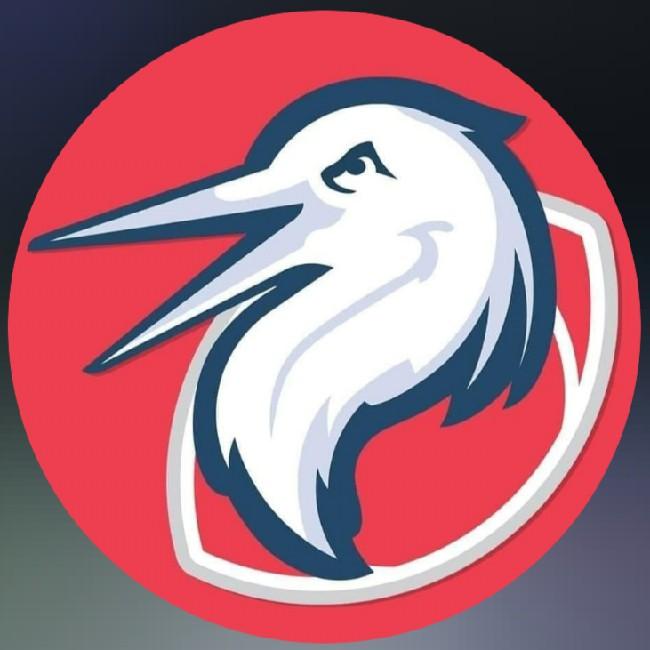 White Cranes
