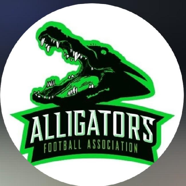 Alligators