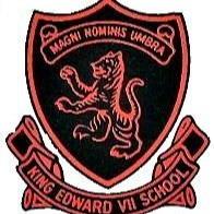 YOUNG TIGERS