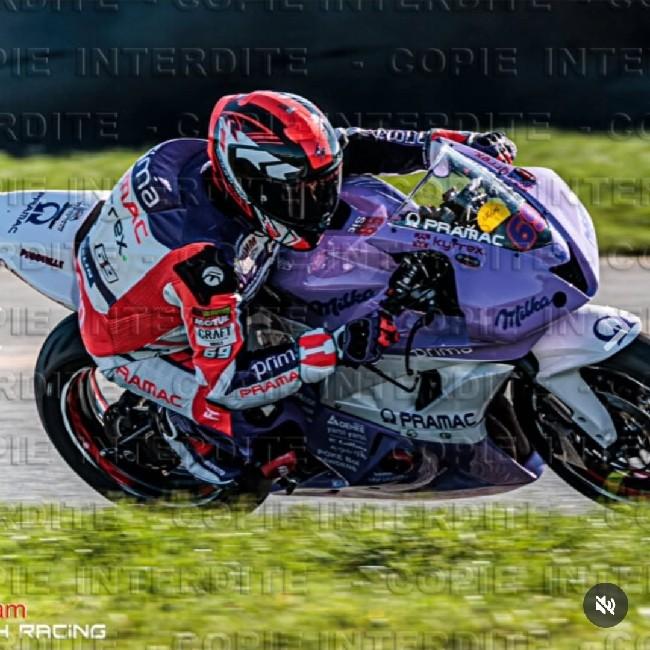 Pecouille Banana #69