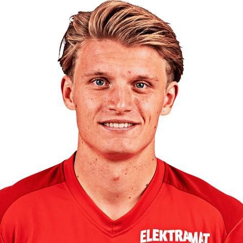 Steijn
