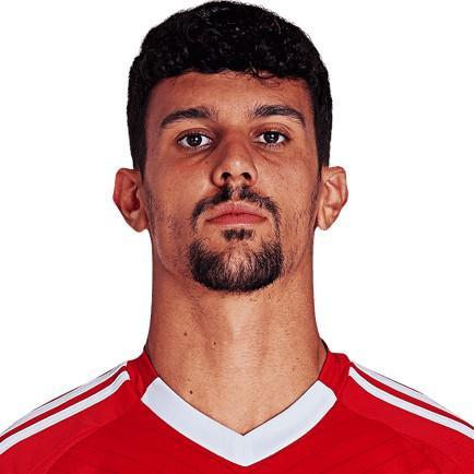 Tomás Araújo