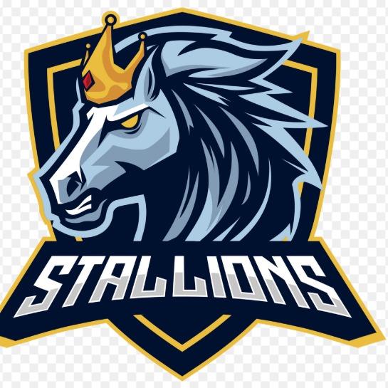 STALLIONS FC (ITA)