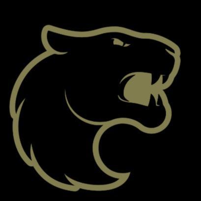 FURIA Esports (Flo)