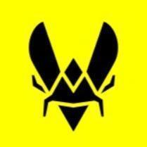 Team Vitality (Mathis)
