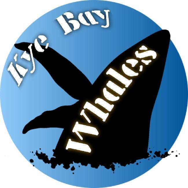 Kye Bay Whales
