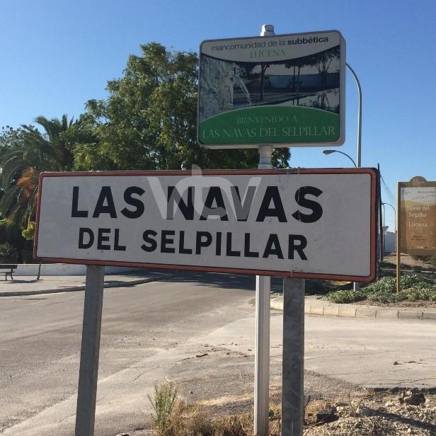 U.D. Las Navas