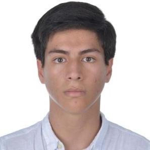 CARLOS ANDRES PAEZ ANDRADE