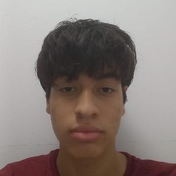 MARIO ANDRES ARAUZ ZAMBRANO