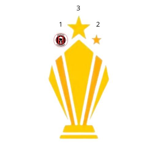 COPA DE LA MURALLA 2