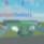 Backyard Baseball League