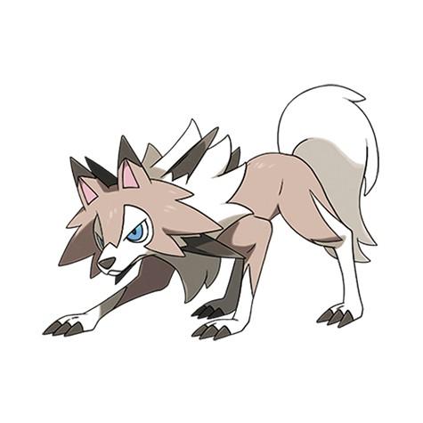 FalkorDragon