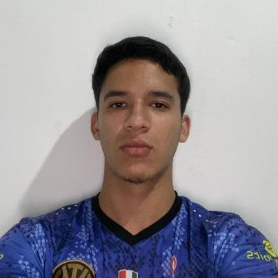 DIEGO ANDRES ALARCON FRANCO