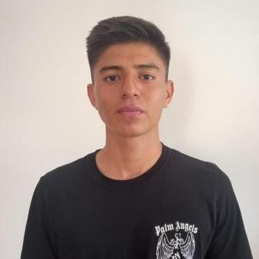 WILSON STEEVEN HERNANDEZ ALAY