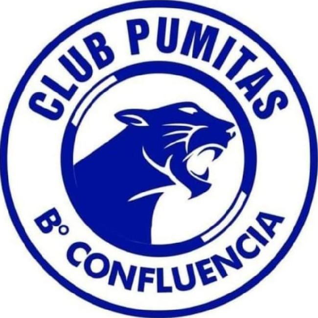 Los Pumitas