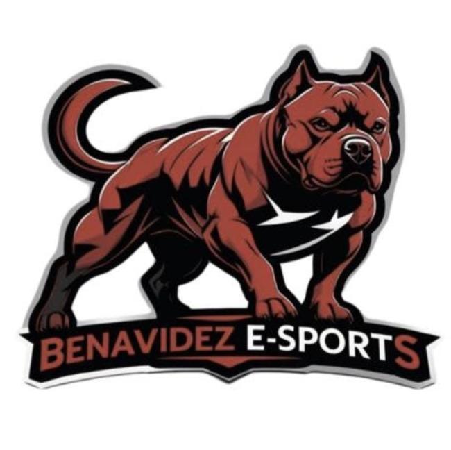 Benavidez Esports