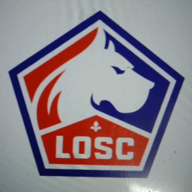Lille fc