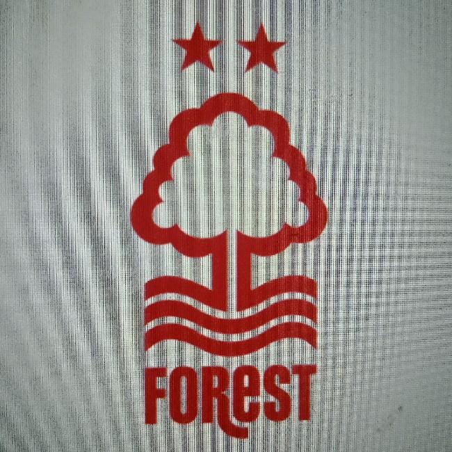 Nottingham Forest F. C