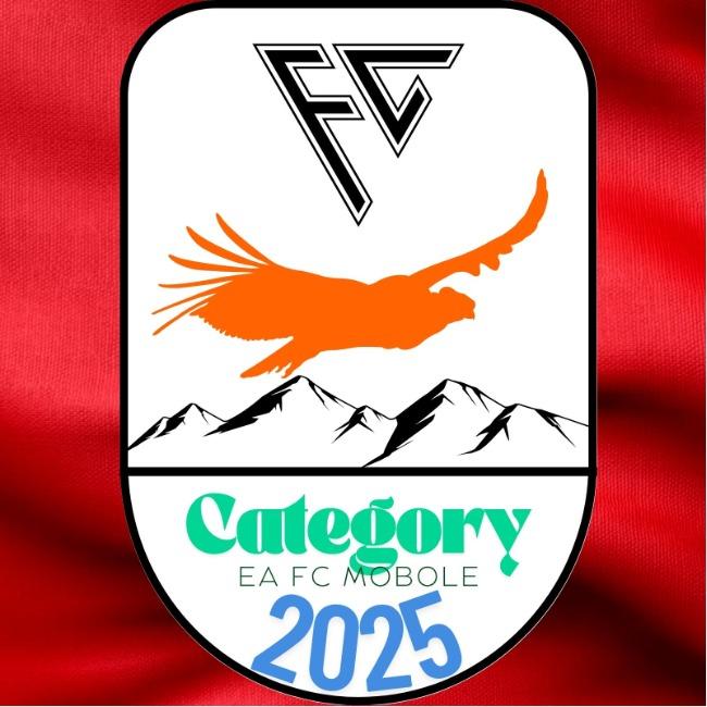 Category One Mobile🏟⭐️