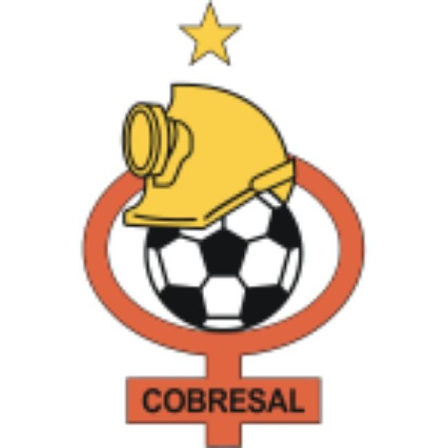 COBRESAL