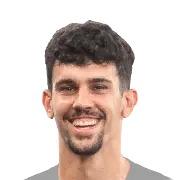 Tomas Araújo