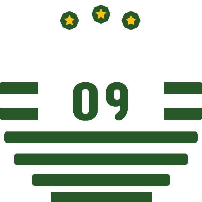 FC 09 Kostéka