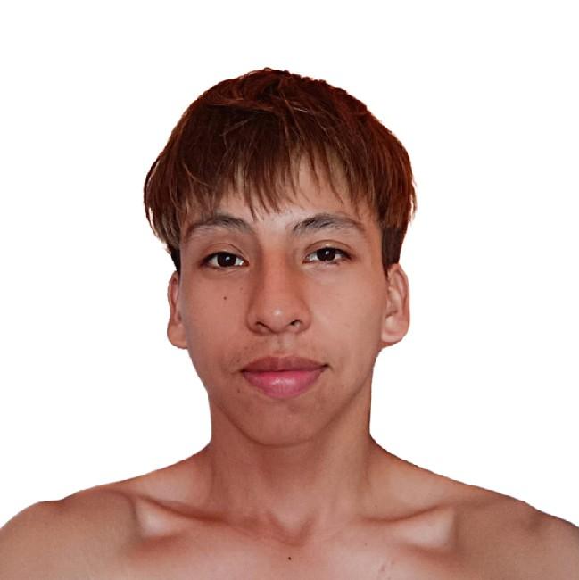 Fabio Andrés Medina Arequipa