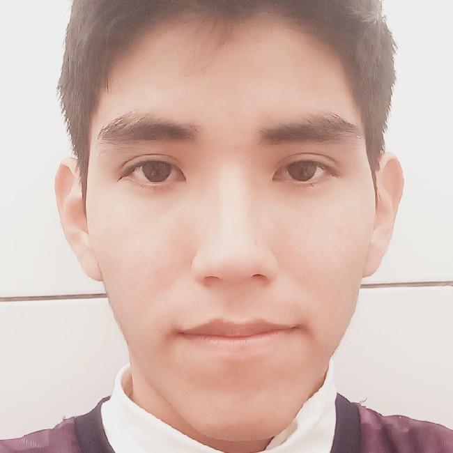 Cristofer Andy Rocabado Villarroel