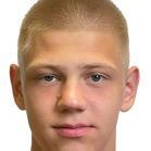 Дмитрий Шерстобитов