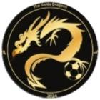THE GOLD DRAGONS