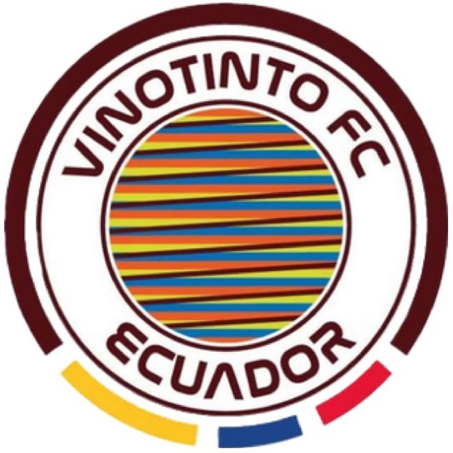 VIN Vinotinto FC