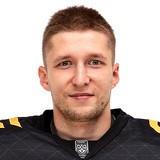 Михаил Бердин (В)