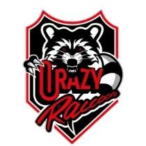(A4) CRAZY RACCOON (🇯🇵)