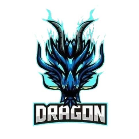Team Dragón
