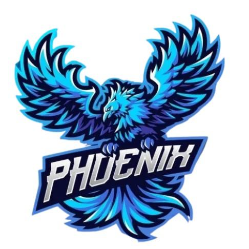 Team Phoenix