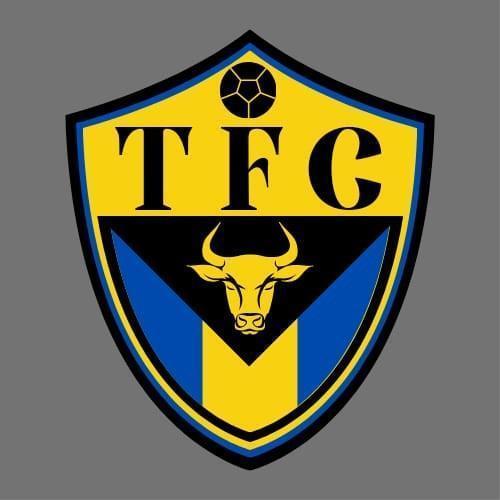 Toroneta FC