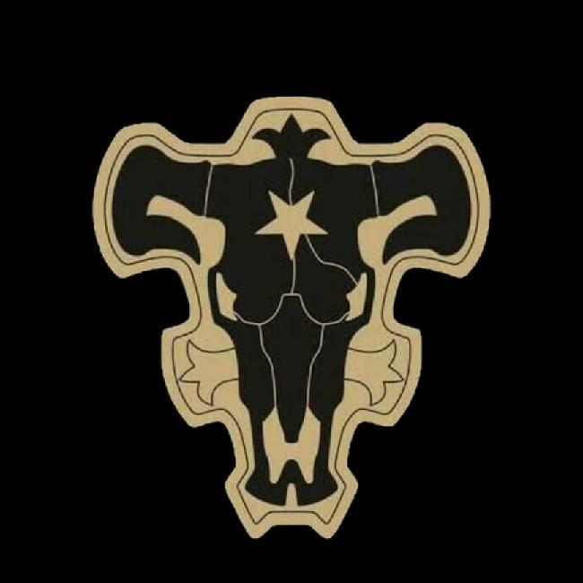 Toros Negros