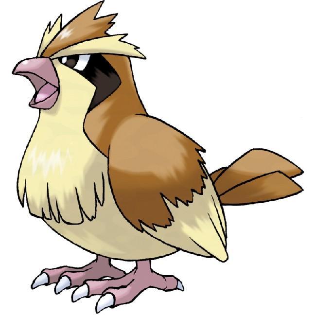 Pidgey