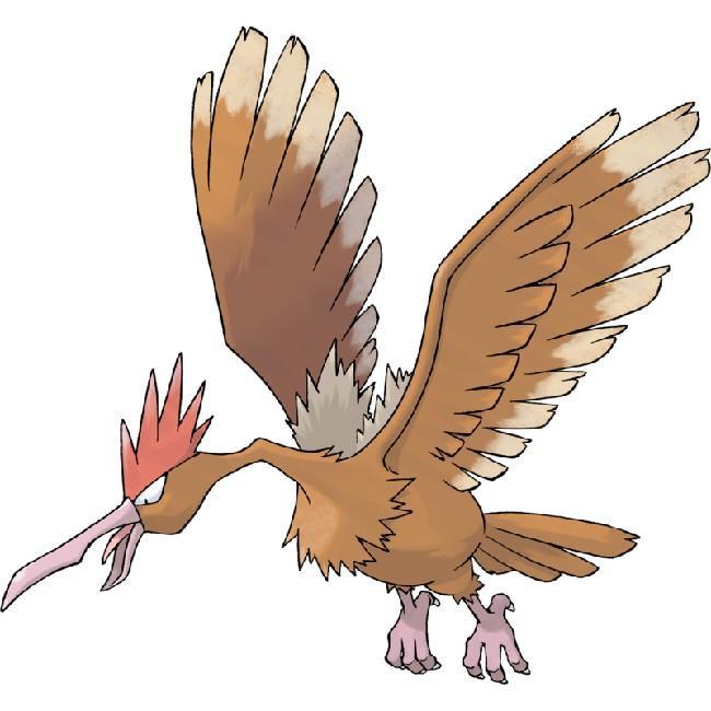 Fearow