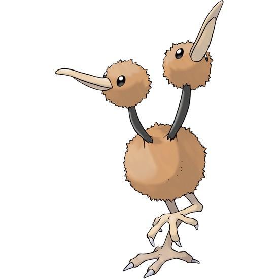 Doduo