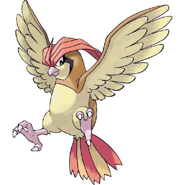 Pidgeotto