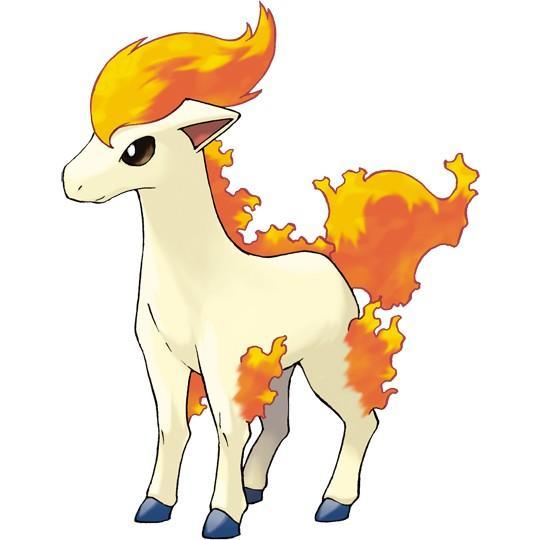 Ponyta